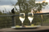 Book Forest Hill Accommodation Vacations Yamba Accommodation Yamba Accommodation
