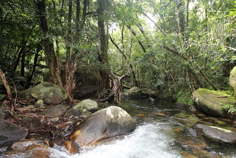 Stonewood Views - Yamba Accommodation 1