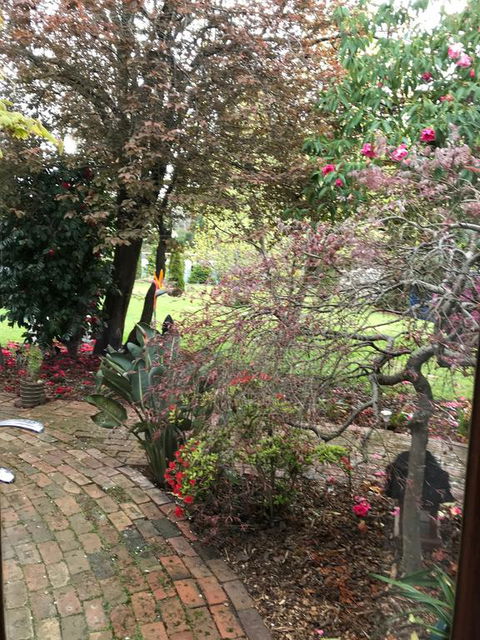 Stony Rise Cottage B&B - Yamba Accommodation 1