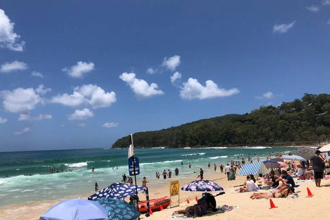 Sunshine Coast Cottage - Yamba Accommodation 3