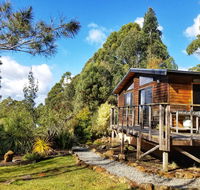Southern Forest Accommodation - Yamba Accommodation