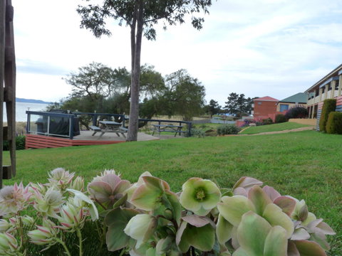 Swansea Motor Inn Tasmania - Yamba Accommodation 17