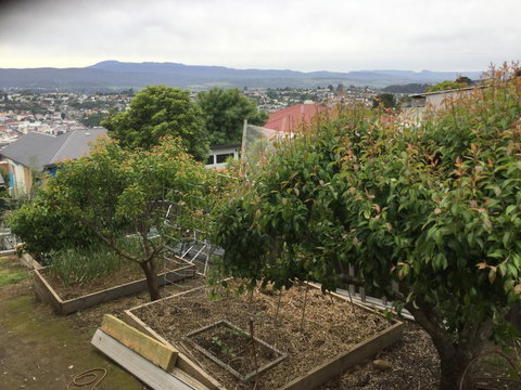 11 Argyle Street Townhouse - Yamba Accommodation 4