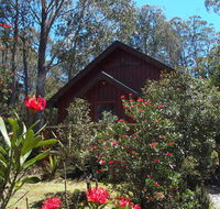 Cradle Mountain Highlanders - Yamba Accommodation