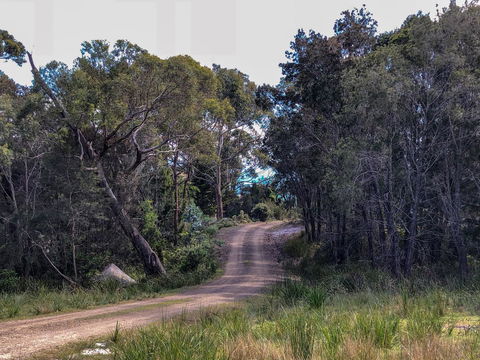 BAY OF FIRES ECO HUT Off Grid Experience At Binalong Bay - Yamba Accommodation 12