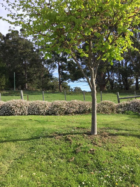Nextdoor@portarthur - Yamba Accommodation 17
