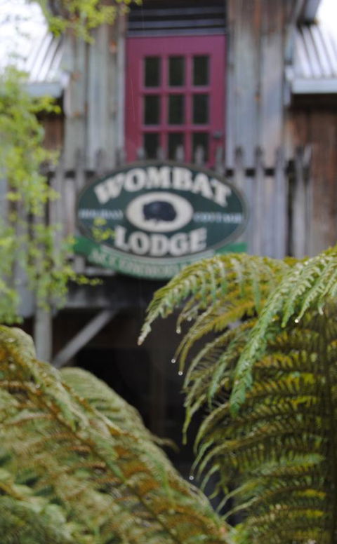 The Wombat Cottage - Yamba Accommodation 0