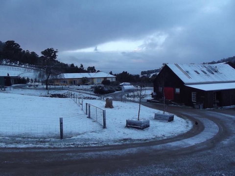 Eden Orchard & Farmstay - Yamba Accommodation 23