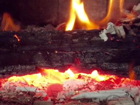 Eden Orchard & Farmstay - Yamba Accommodation 3