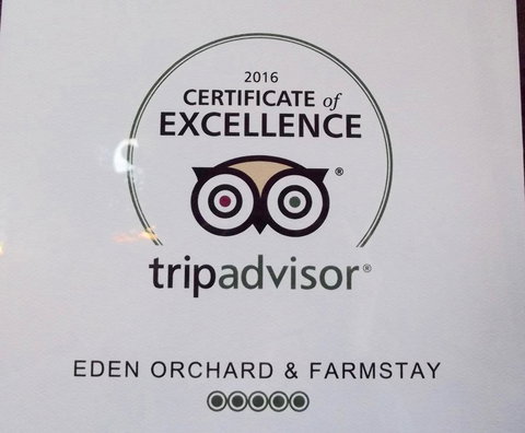Eden Orchard & Farmstay - Yamba Accommodation 28