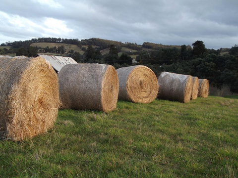 Eden Orchard & Farmstay - Yamba Accommodation 35