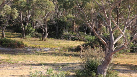 BAY OF FIRES SEACHANGE Ocean Frontage - Yamba Accommodation 12