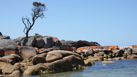 BAY OF FIRES SEACHANGE Ocean Frontage - Yamba Accommodation 21