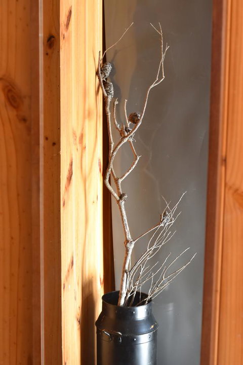 Tutumaz By The River - Yamba Accommodation 29