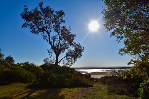 Tutumaz By The River - Yamba Accommodation 23