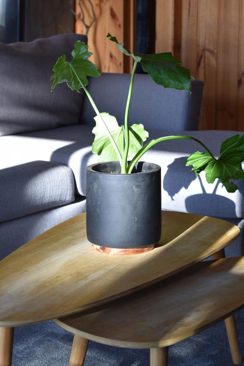 Tutumaz By The River - Yamba Accommodation 26