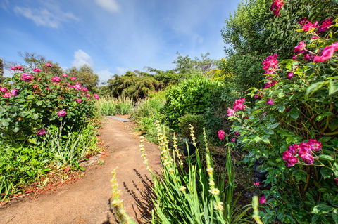 Wagners Cottages - Yamba Accommodation 30