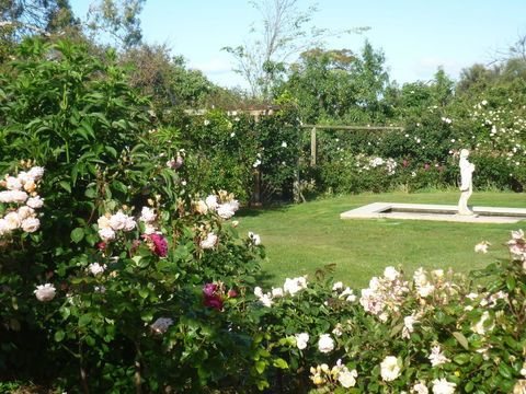 Wagners Cottages - Yamba Accommodation 6
