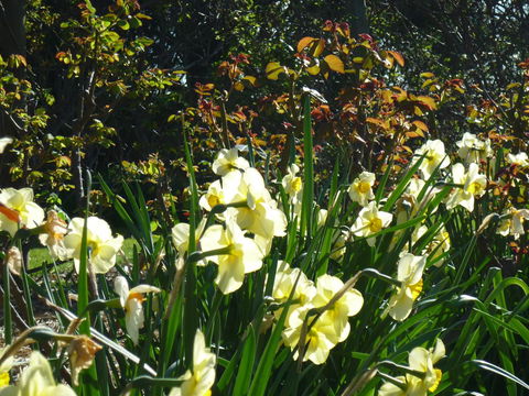 Wagners Cottages - Yamba Accommodation 13