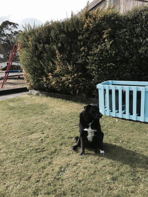 Strahan Beach Tourist Park - Yamba Accommodation 9