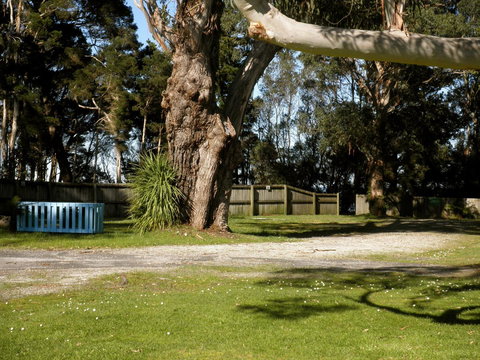 Strahan Beach Tourist Park - Yamba Accommodation 5