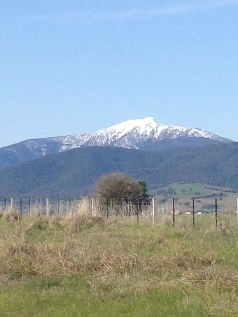 High Country Holiday Park - Yamba Accommodation 34