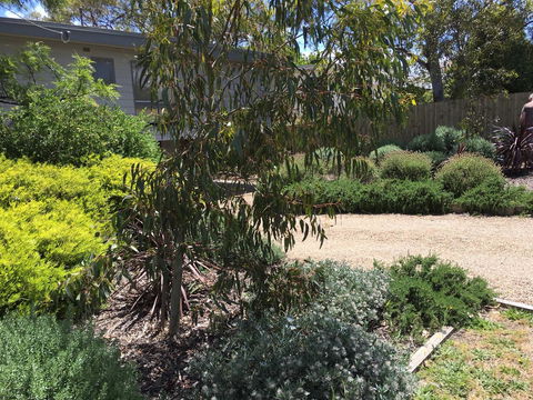 Kookas Retreat - Yamba Accommodation 13