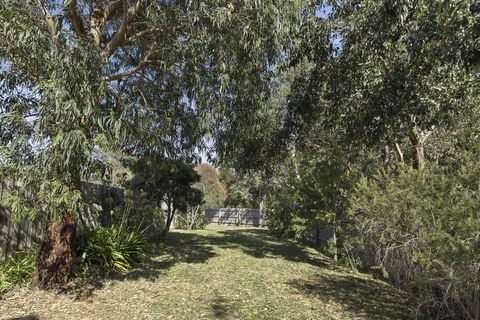 Apollo Bay Cottages - Yamba Accommodation 14