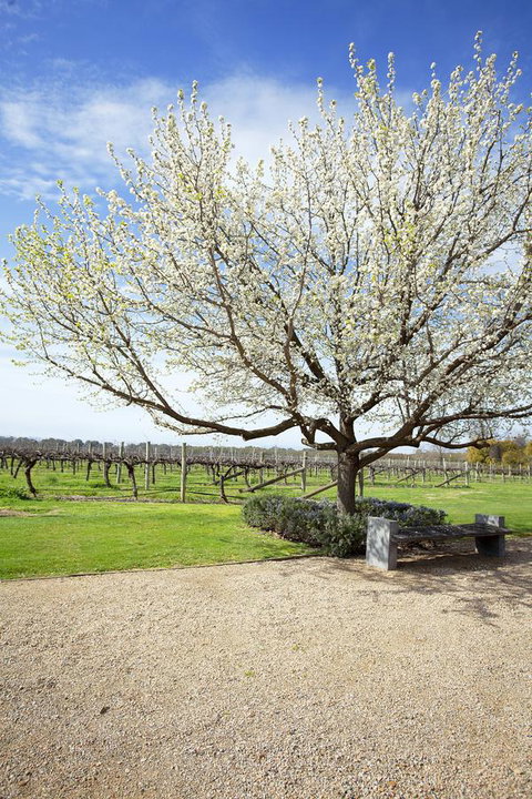 Lancemore Milawa - Yamba Accommodation 12