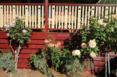 Oxford Rise Apartment - Yamba Accommodation 21