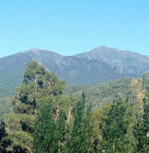 Snow View Holiday Units - Yamba Accommodation 5