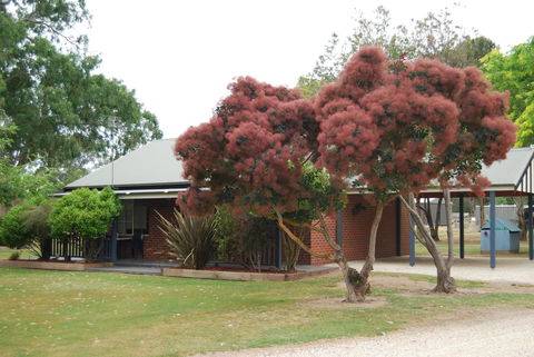 Greenvale Holiday Units - Yamba Accommodation 9