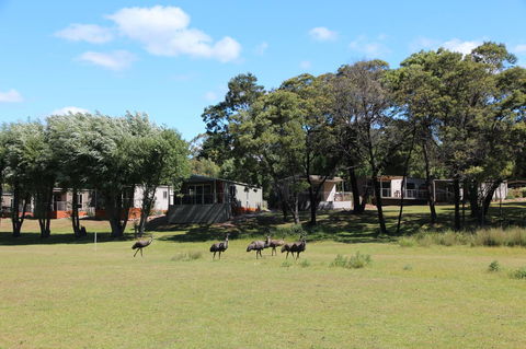 Halls Gap Lakeside Tourist Park - Yamba Accommodation 1