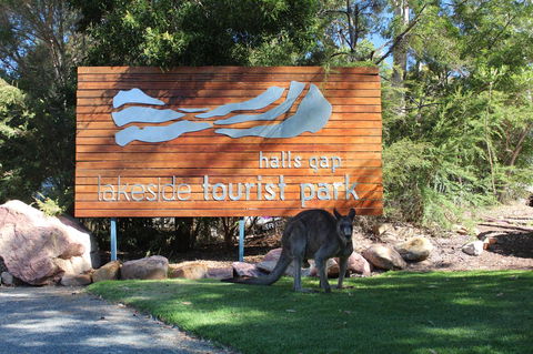 Halls Gap Lakeside Tourist Park - Yamba Accommodation 3