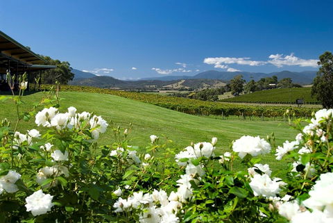 Balgownie Estate Yarra Valley - Yamba Accommodation 36