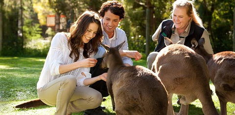 Balgownie Estate Yarra Valley - Yamba Accommodation 10