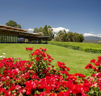 Balgownie Estate Vineyard Resort  Spa - Yamba Accommodation