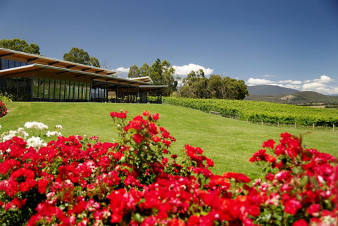 Balgownie Estate Yarra Valley - Yamba Accommodation 0