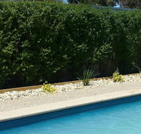 Robinvale Bridge Motel - Yamba Accommodation