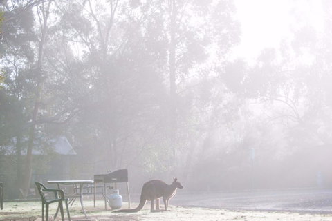 Gariwerd Motel - Yamba Accommodation 18
