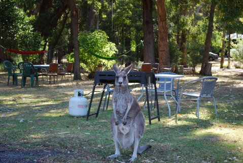 Gariwerd Motel - Yamba Accommodation 26