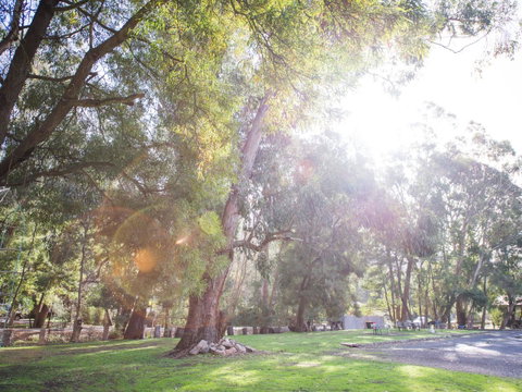 Gariwerd Motel - Yamba Accommodation 7