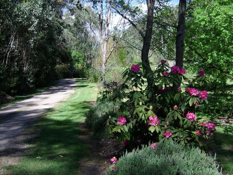 Shady Brook Cottages - Yamba Accommodation 15