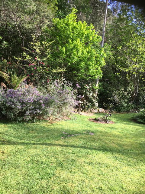 Shady Brook Cottages - Yamba Accommodation 6