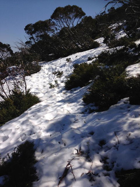 Shady Brook Cottages - Yamba Accommodation 11