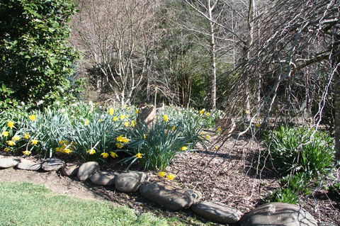 Shady Brook Cottages - Yamba Accommodation 8