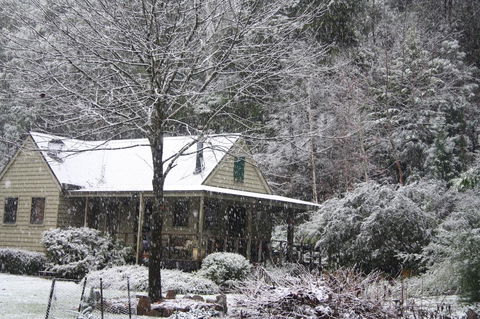Shady Brook Cottages - Yamba Accommodation 30