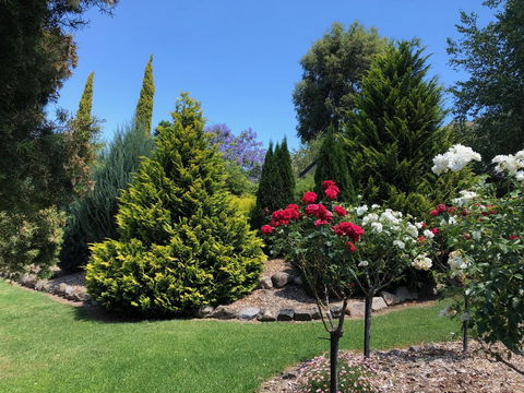 Valley View Lodge - Yamba Accommodation 20
