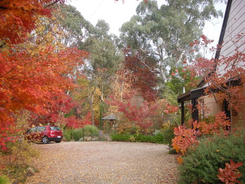 Merrimeet Cottages - Yamba Accommodation 5