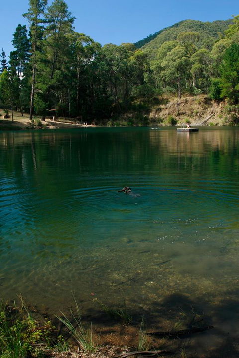 The Harrietville Snowline Hotel - Yamba Accommodation 38